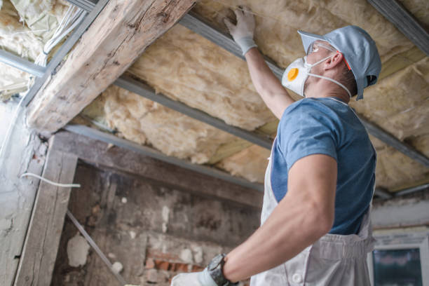 Best Insulation Maintenance and Repair in Doney Park, AZ