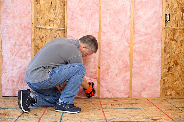 Best Insulation Maintenance and Repair in Doney Park, AZ